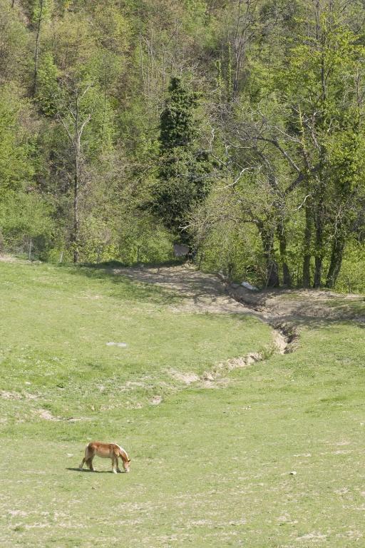 Rimaggiori Country Home & Restaurant باربيرينو دي موجيلو المظهر الخارجي الصورة